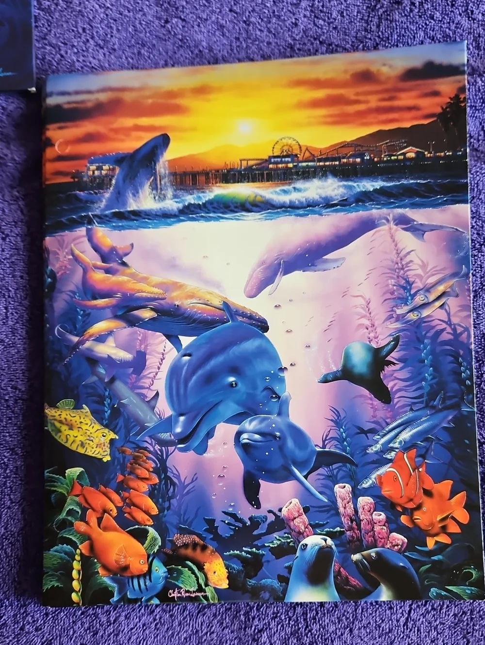 Source Unknown dolphins puppies